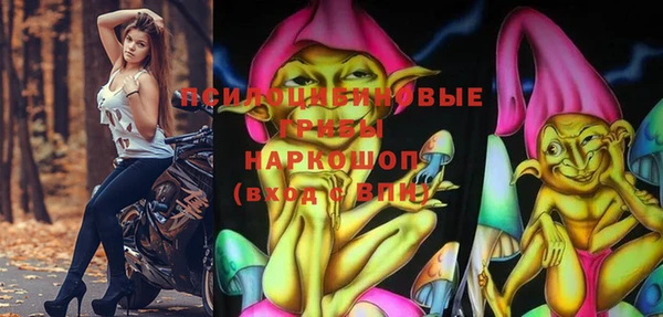 стафф Волосово