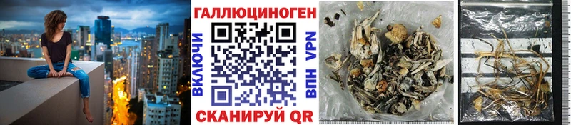 Галлюциногенные грибы мицелий  Купить закладки  Арсеньев 